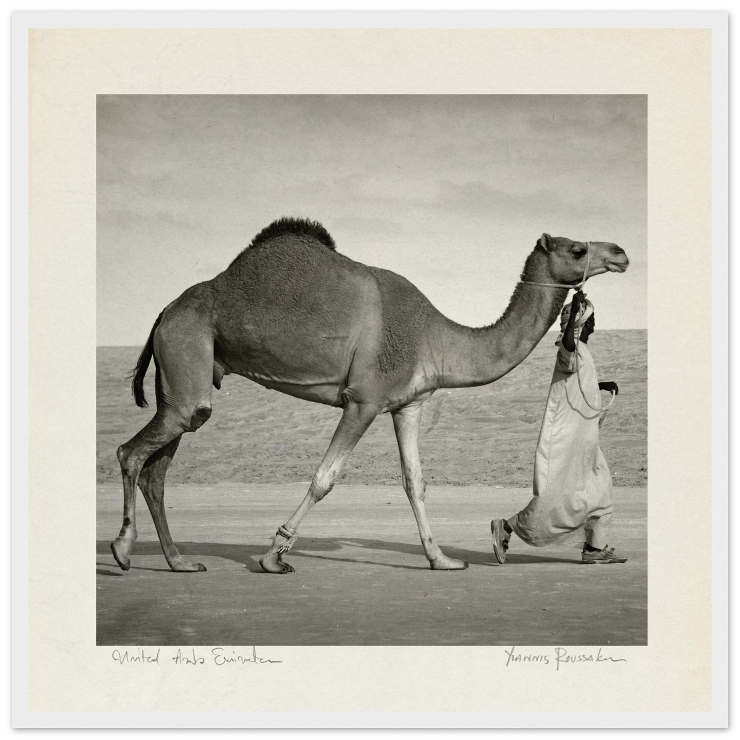 1c184b19-6095-4151-863d-cb41b1129a32