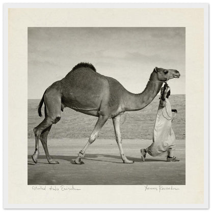 1c184b19-6095-4151-863d-cb41b1129a32