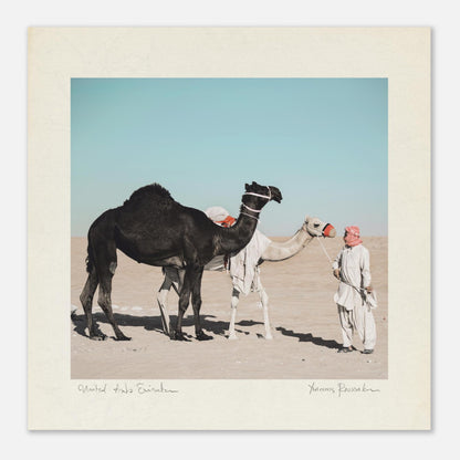 1c85d4e5-6457-417f-8ded-91bfbf33100b