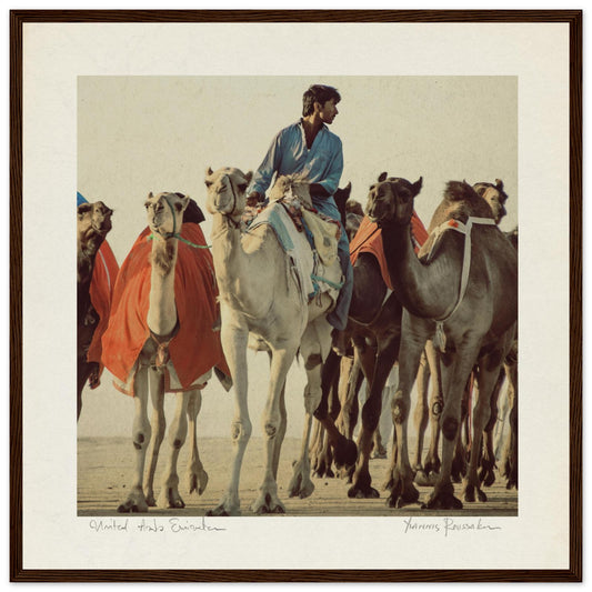 1cd6249a-fa90-4c13-902c-8aaf6c390c99