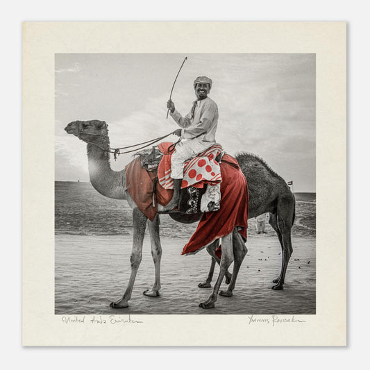 1d0e347d-babf-4076-836c-53fcb958405c