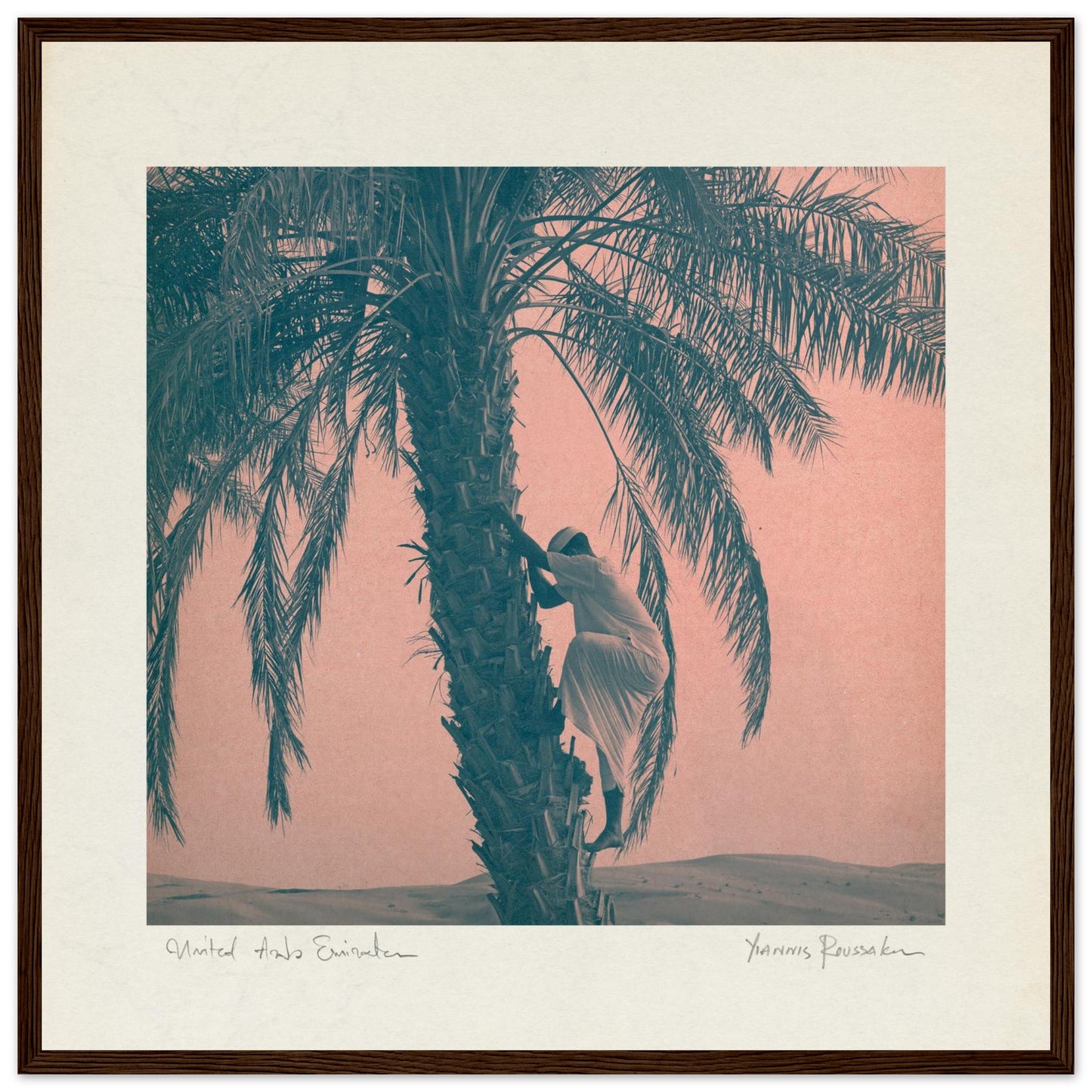 1e556f8d-7e9d-4cdc-8a80-58ad7d34415f