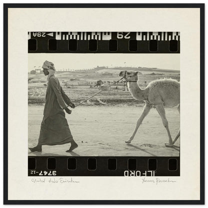 1eb177c1-576d-4c22-83a5-3bc9fd8a3465