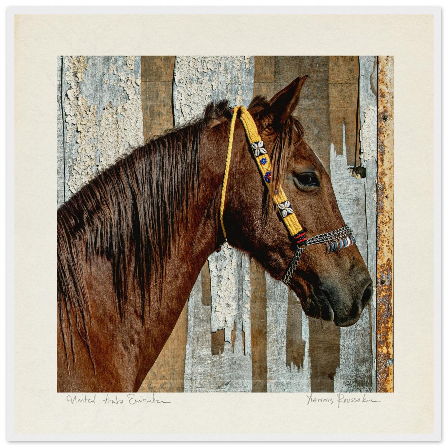 220a92e3-6b3f-4279-b14c-a0e6fcb024a9