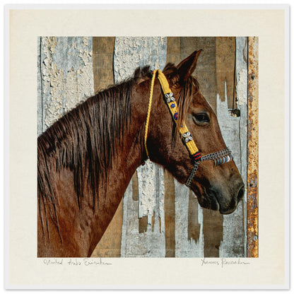 220a92e3-6b3f-4279-b14c-a0e6fcb024a9