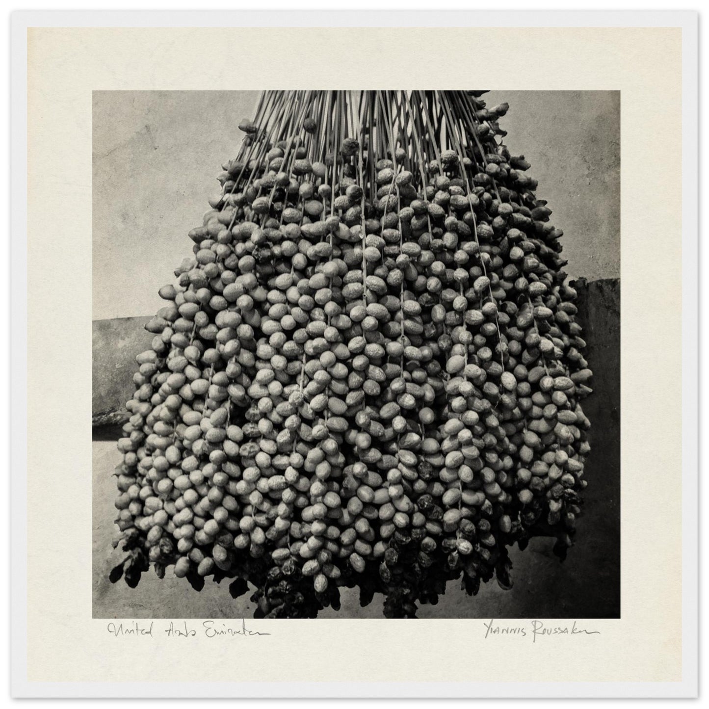 225b88e1-777f-4710-88b5-65abf4921e41