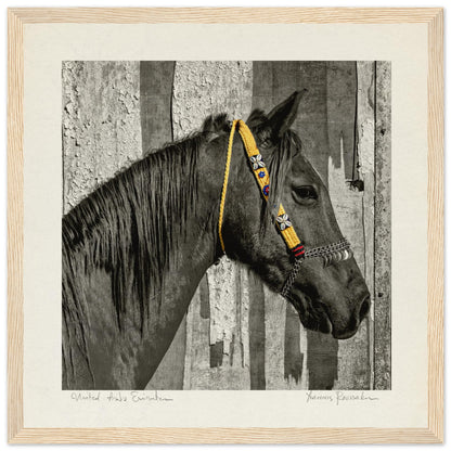 2270b080-0821-4c70-bd09-278cb14c0d7c