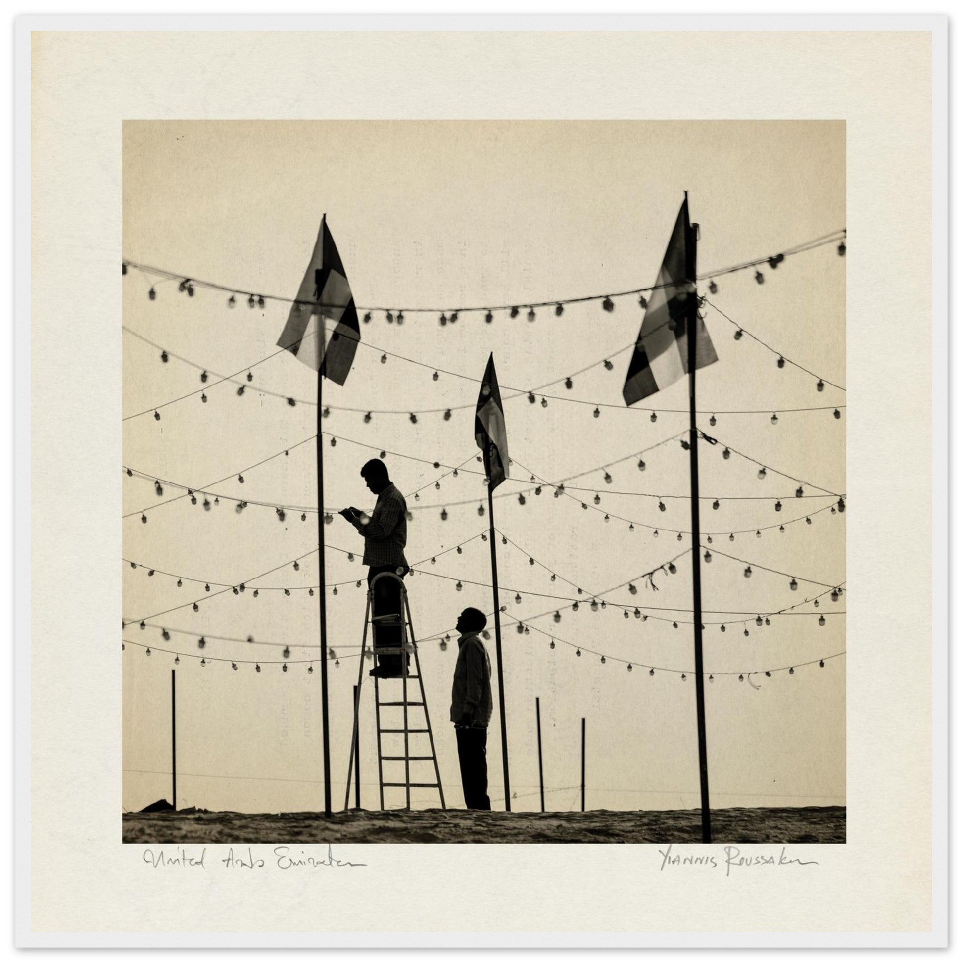 228a6911-2773-4600-8046-86824f579663