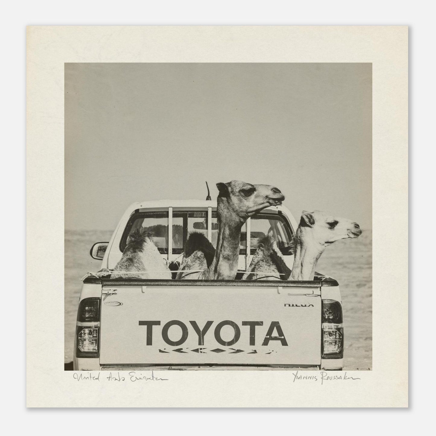 234199fe-f796-4802-b27f-b7830a898387