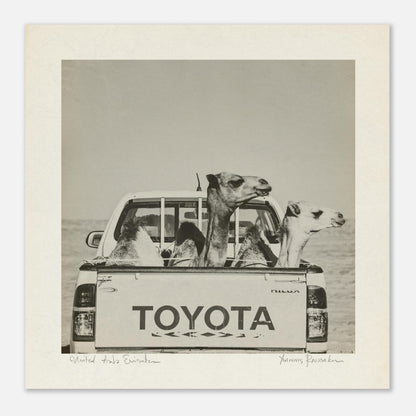 234199fe-f796-4802-b27f-b7830a898387