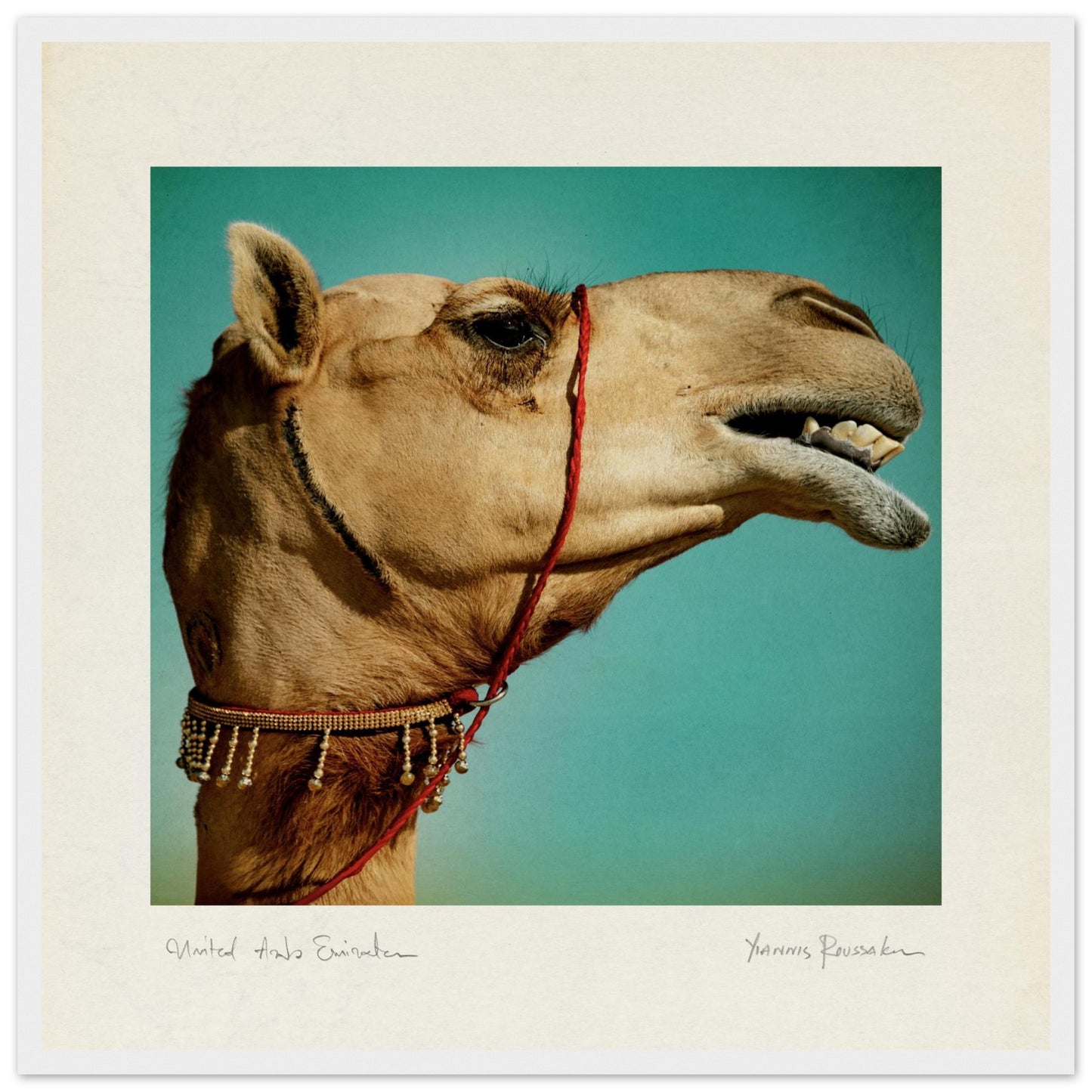 240de5c0-35ac-4f43-a46a-41be45d438b9