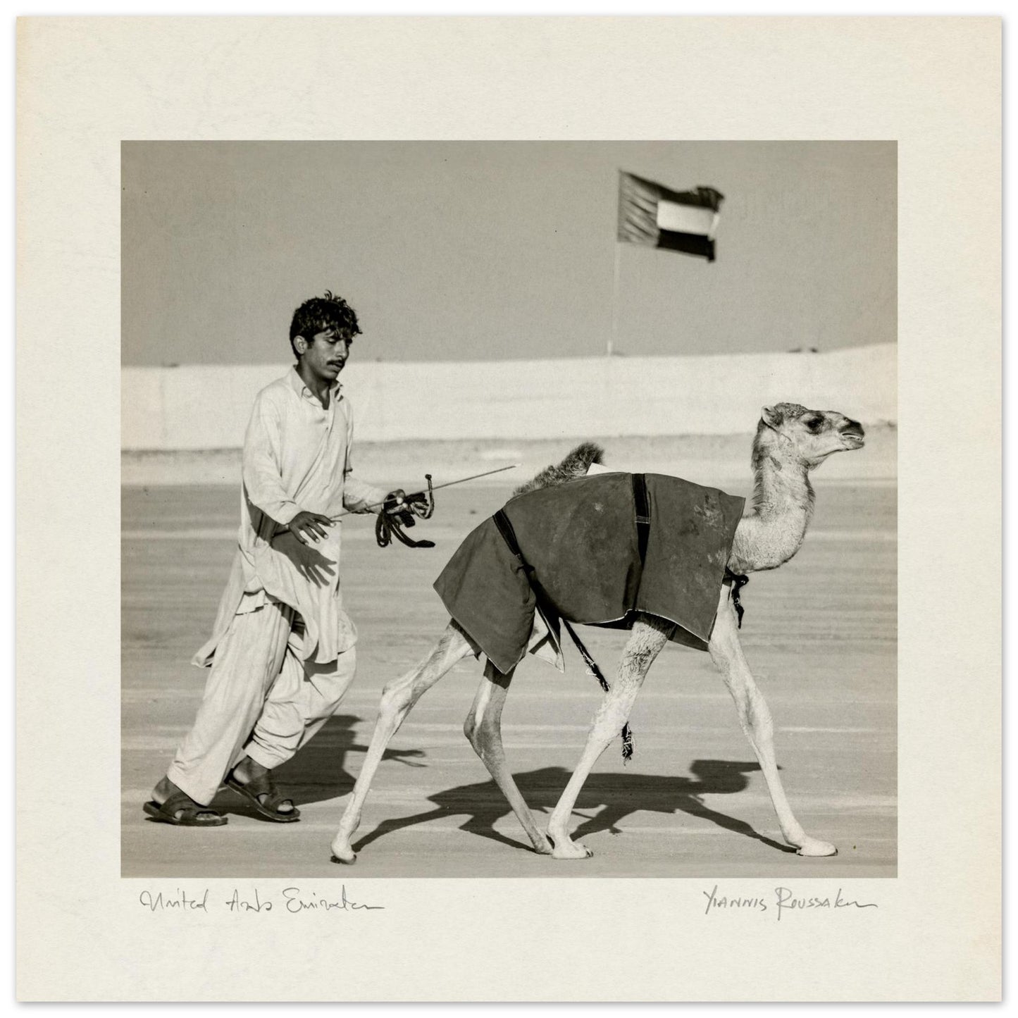 24247933-685c-40ac-8f31-53fdfaa65d9a