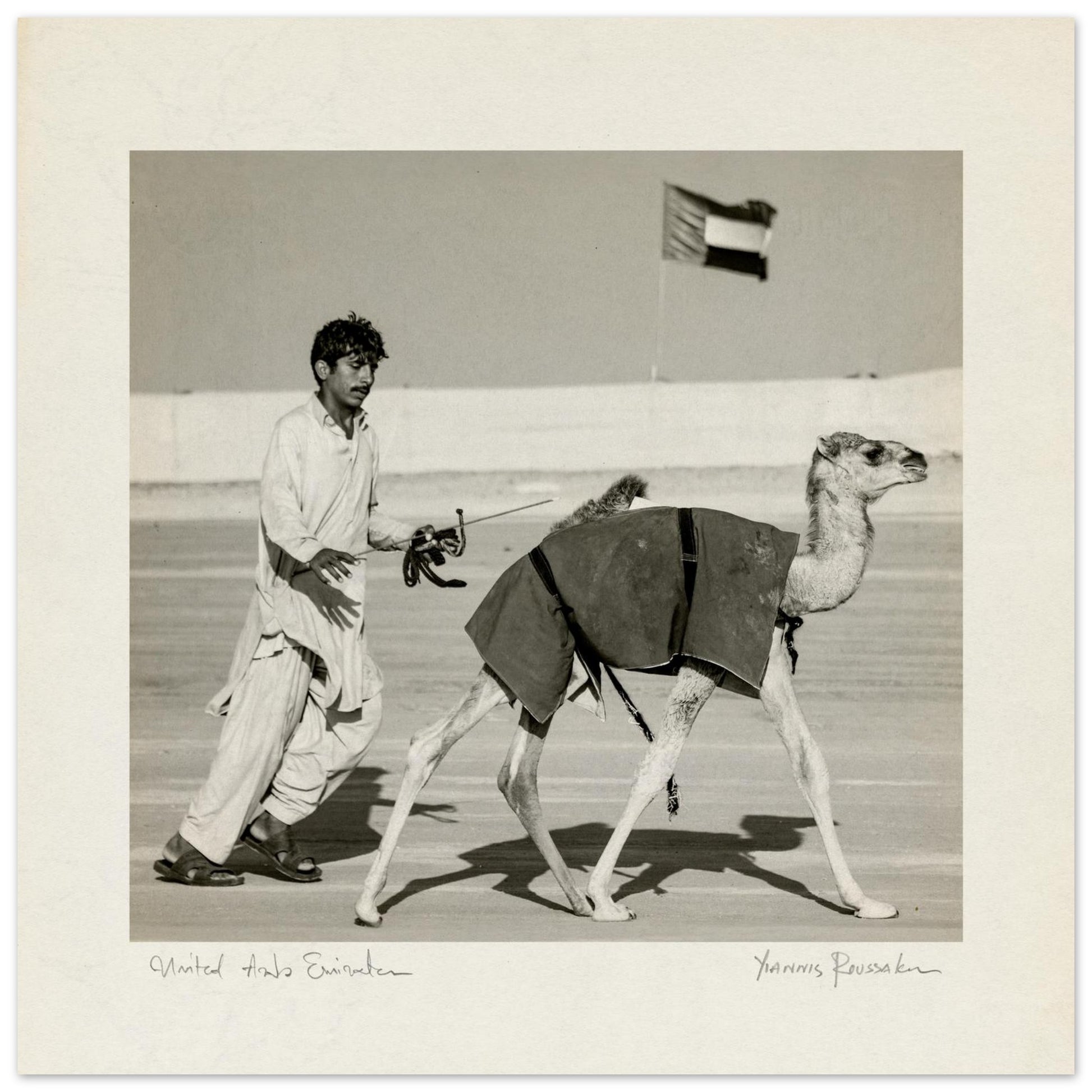 24247933-685c-40ac-8f31-53fdfaa65d9a