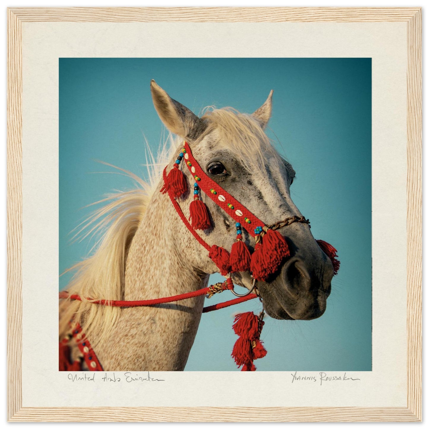 261faf3f-f82e-41d3-b024-516c3145e5f0