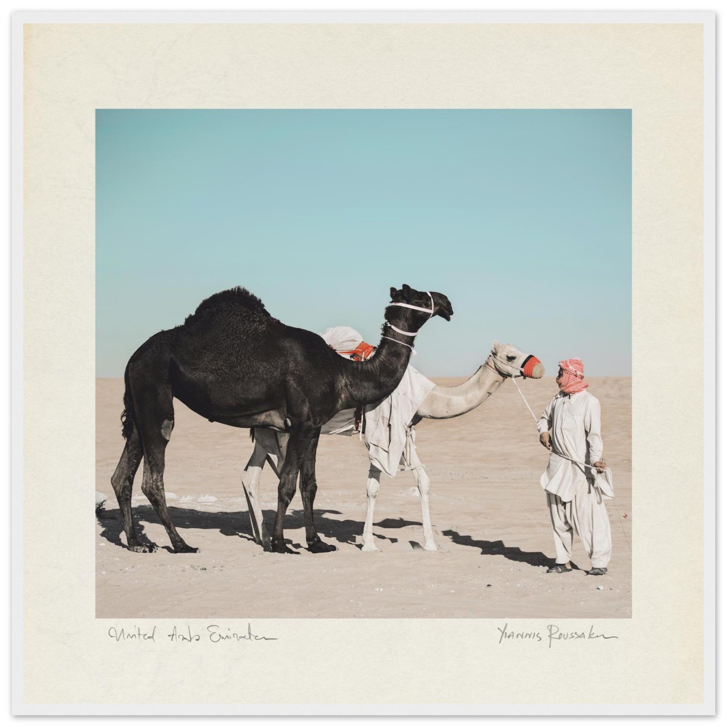 267b7a75-7f24-481c-b396-ffd3d29f515f