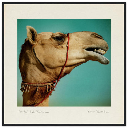 26ce96e9-18e5-4a0c-8ddf-a98d6b1d7c1b