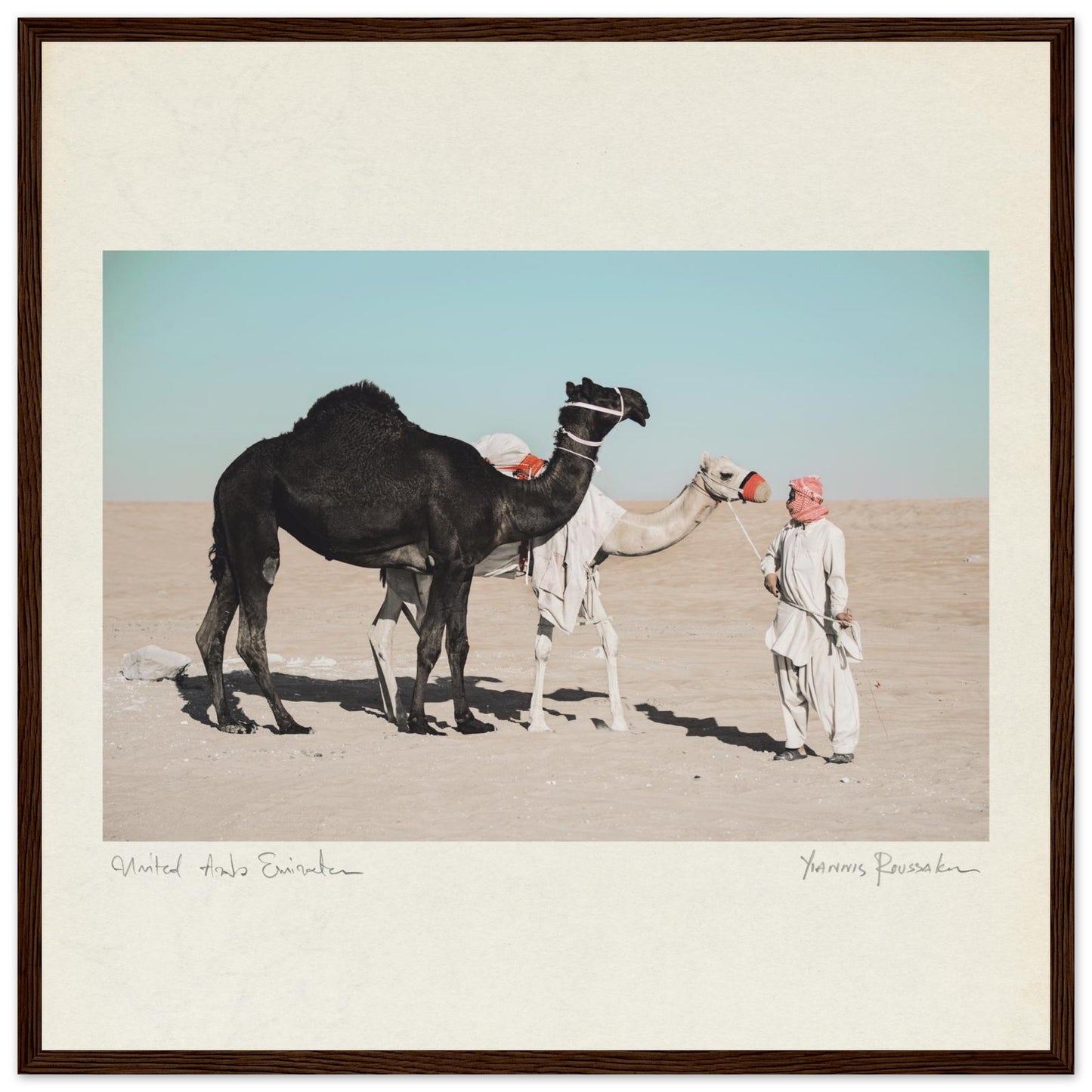 27d46585-8165-4859-aadd-85507cd9eae9