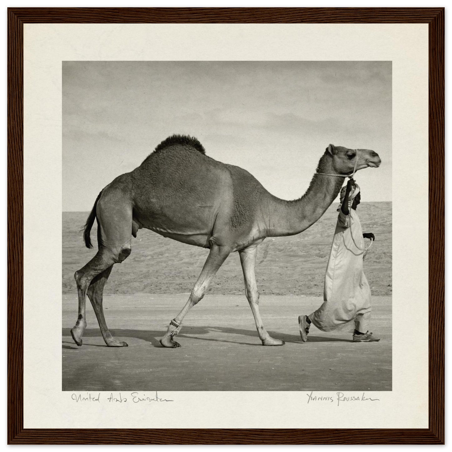 2826a8a7-0f4d-448c-af16-55a1c751f8ba