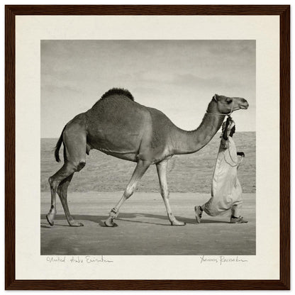 2826a8a7-0f4d-448c-af16-55a1c751f8ba