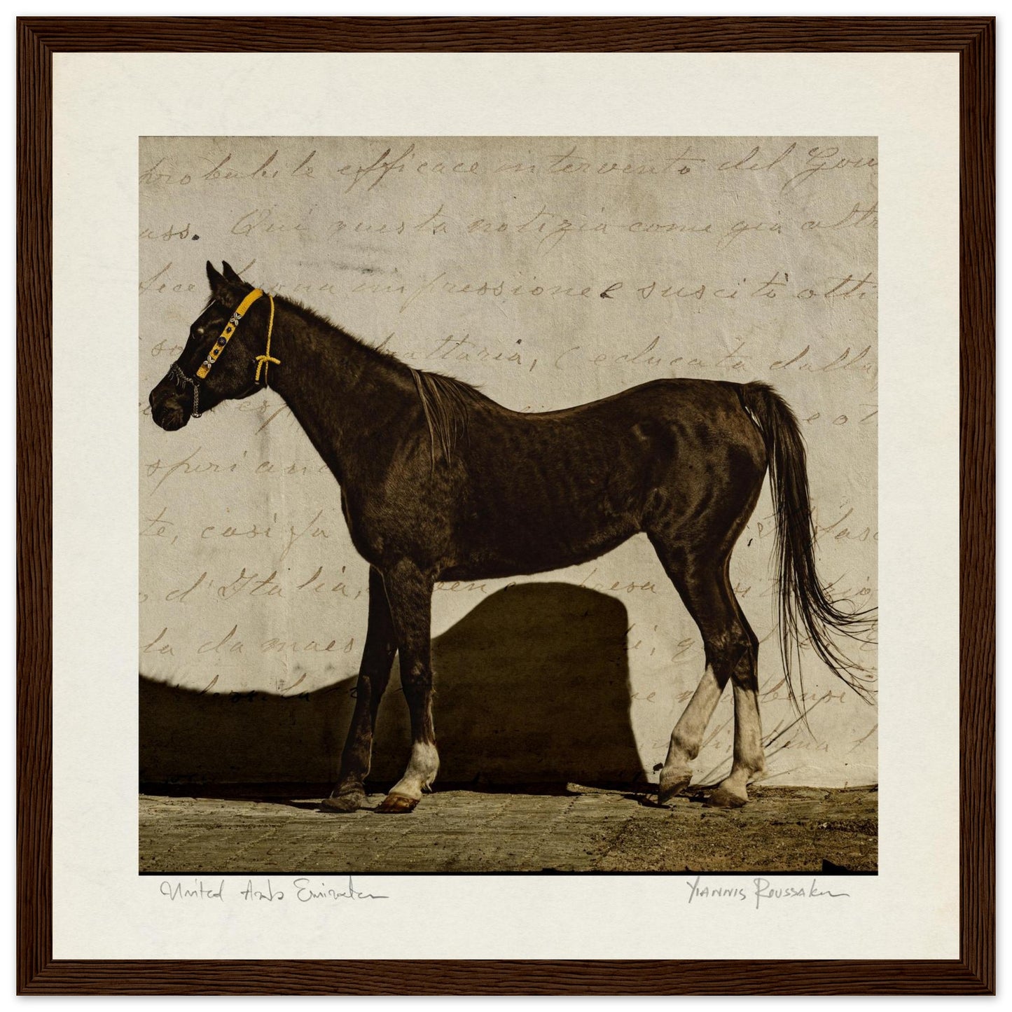 287d2cd4-62bd-4b29-9dc9-6ea616d450d5