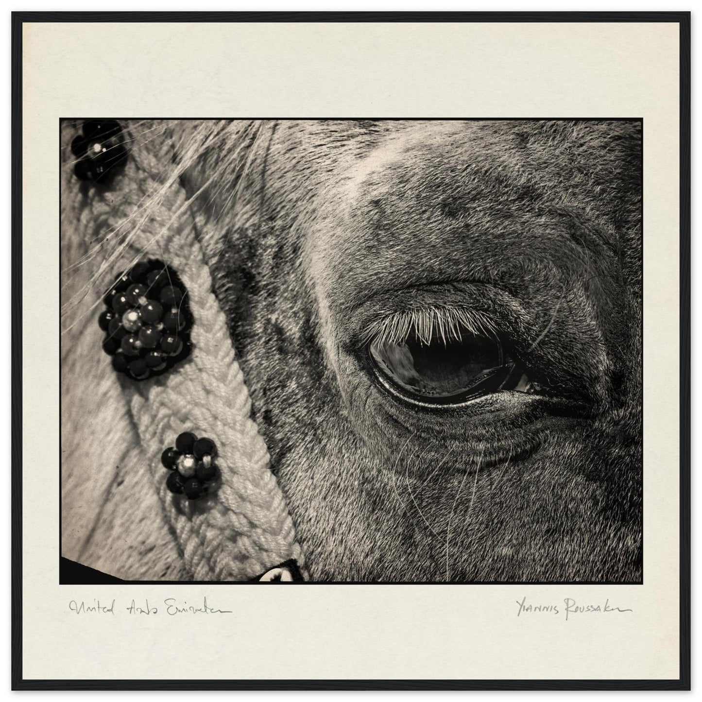 289d0602-9dcf-47c5-ba76-1ce0f31860f5