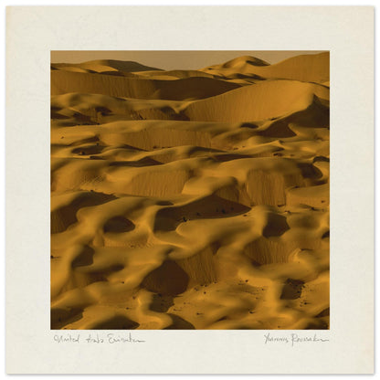 28db6603-632e-4248-ad0c-166cb9f9d052