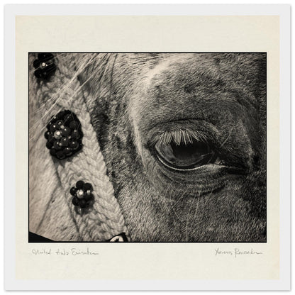 2937c5f5-fcae-45c5-a3d7-ebc2c63805b4