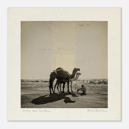 294fa4a6-8907-40b5-aa42-6dc7feee8e88