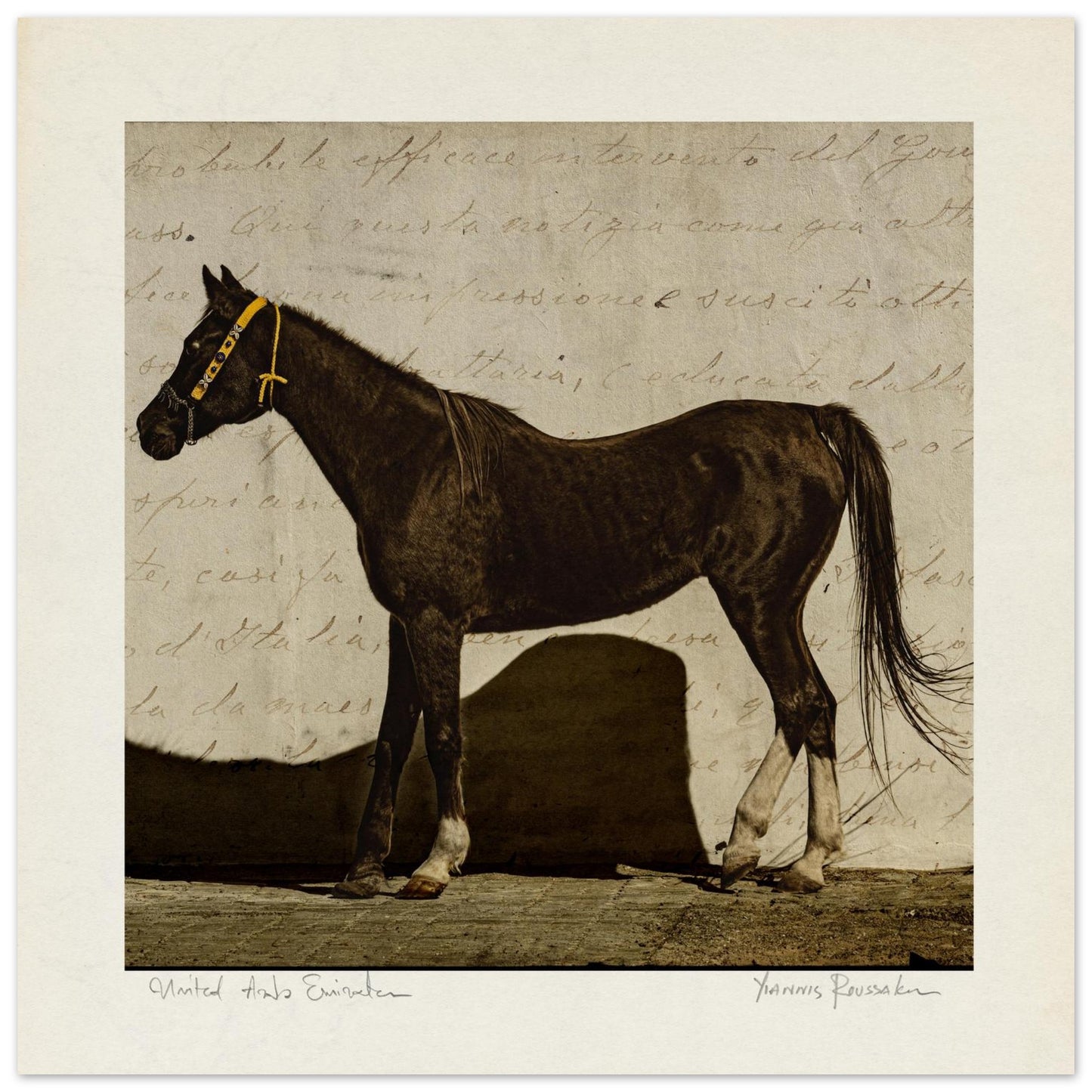 2adba79d-bb6b-4299-b08c-f78eced0e263