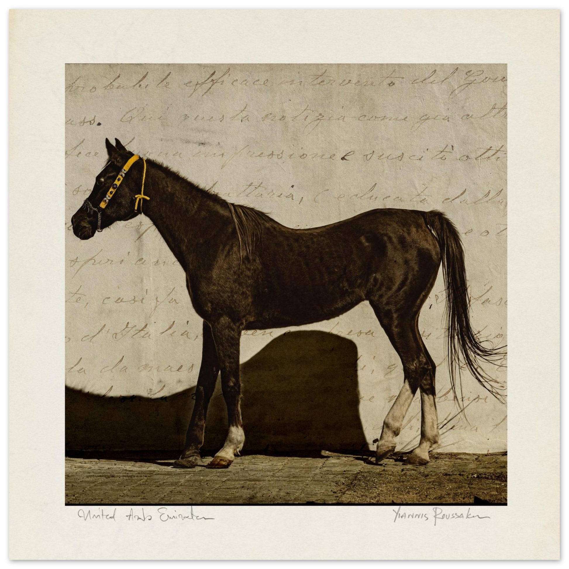 2adba79d-bb6b-4299-b08c-f78eced0e263