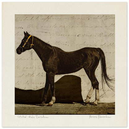 2adba79d-bb6b-4299-b08c-f78eced0e263