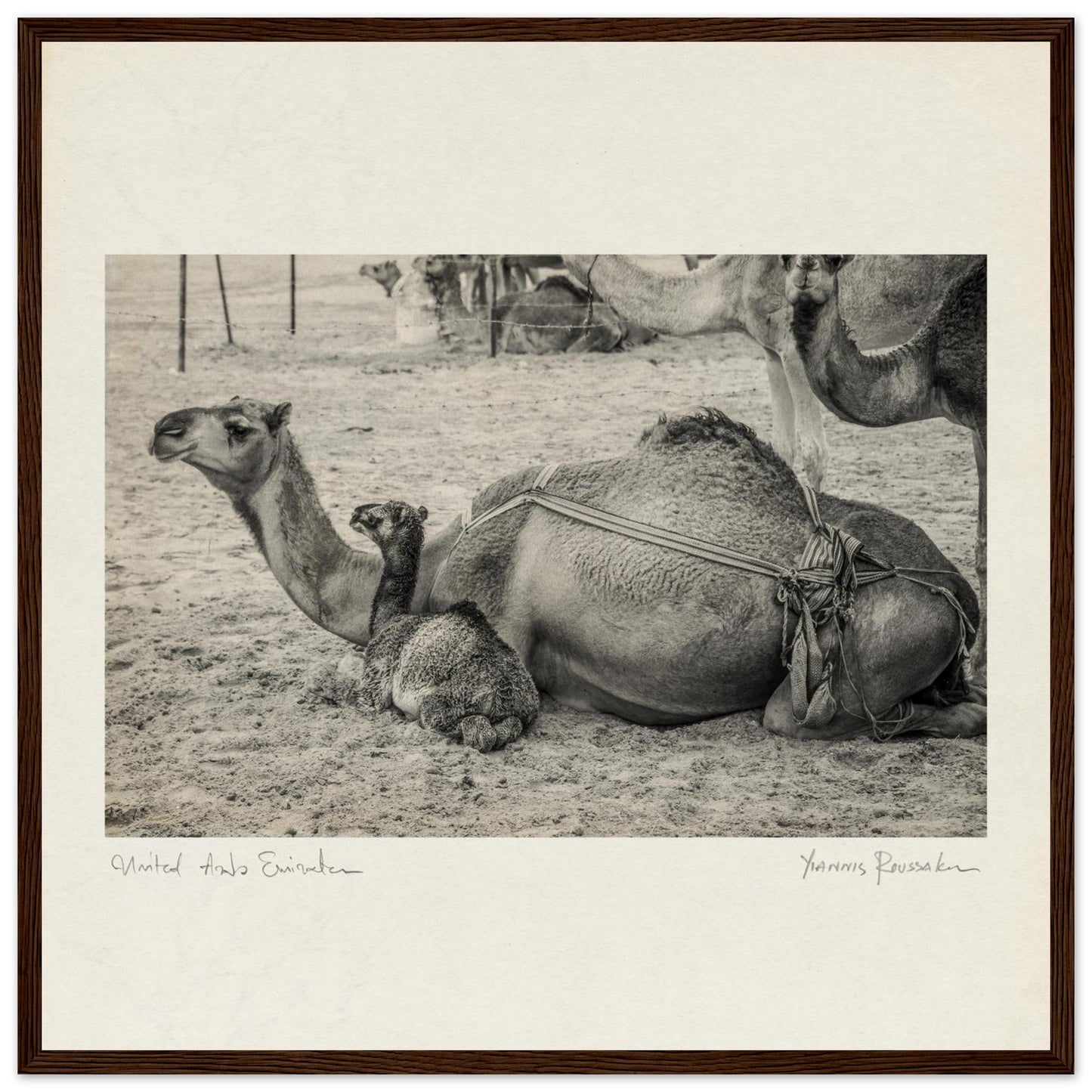 2bde1b77-1d2a-40f9-806f-a8322193365e