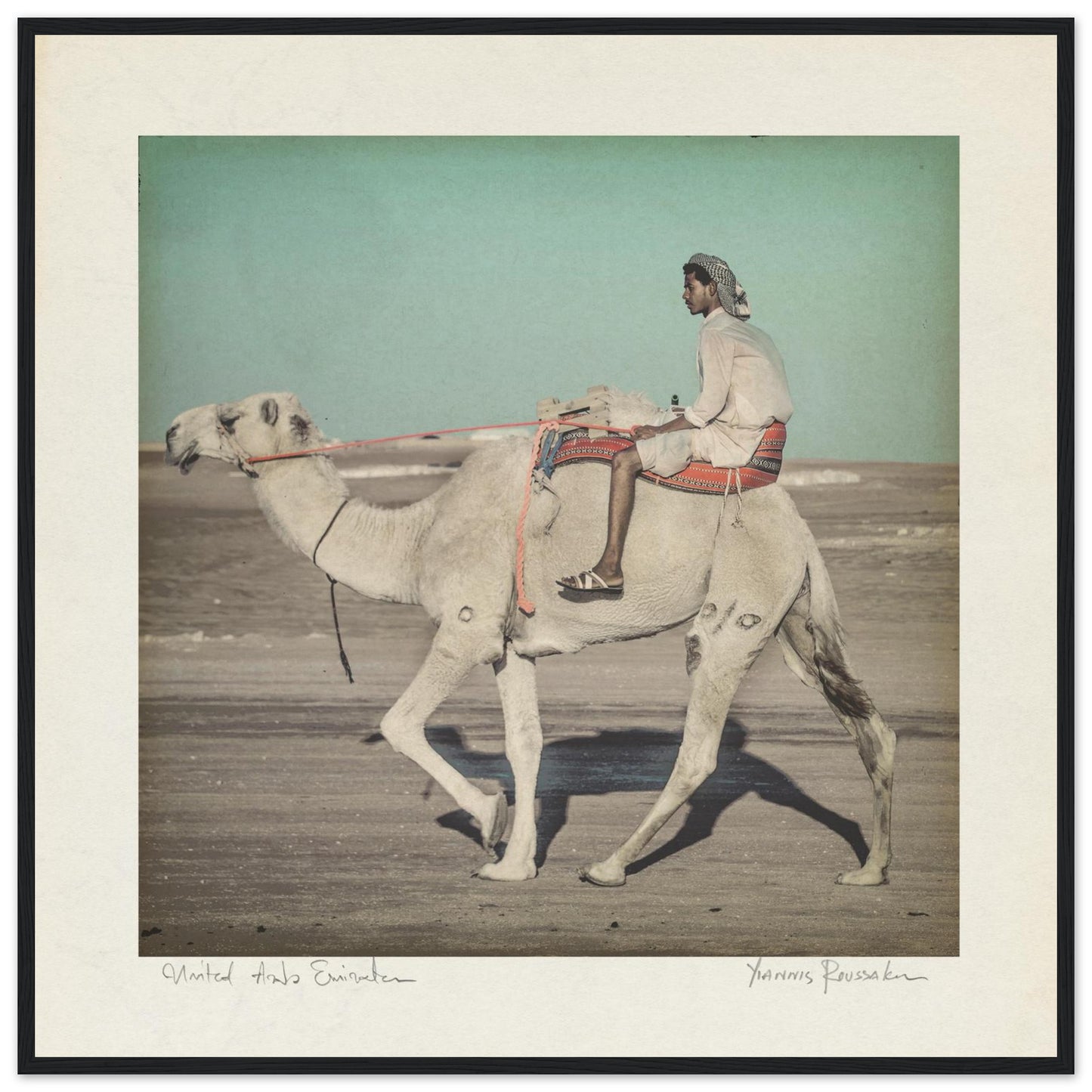 2c0157b0-8795-4633-a272-94ea17a8d6b7