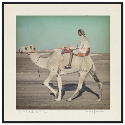 2c0157b0-8795-4633-a272-94ea17a8d6b7