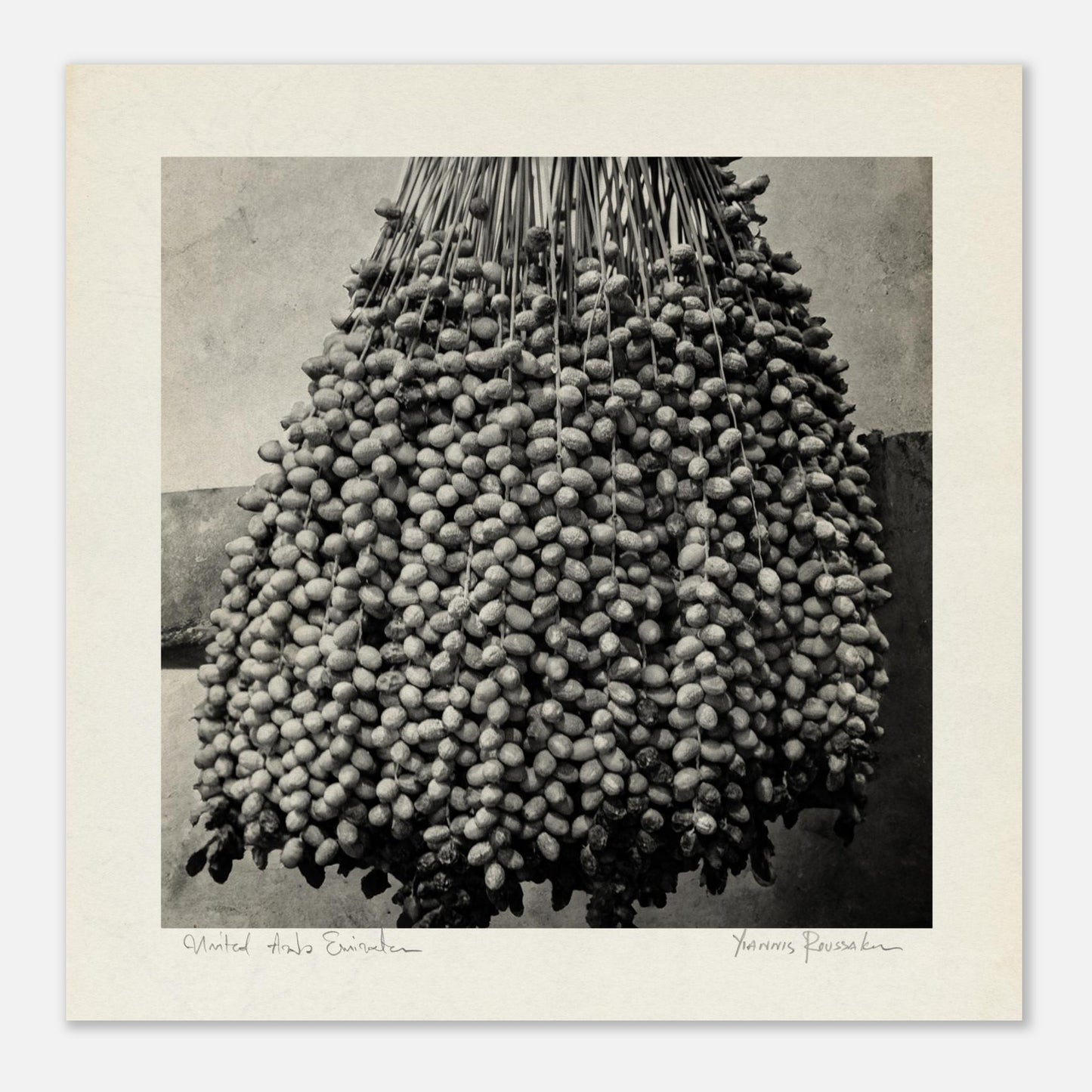 2cc52890-8d69-4869-9aeb-b7c3669bff42