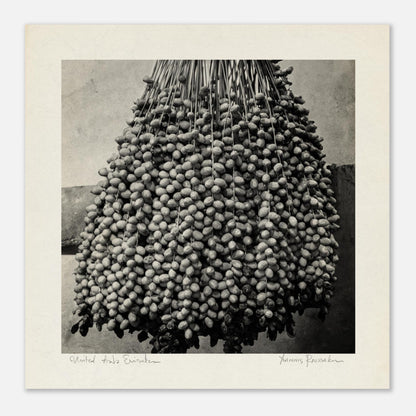 2cc52890-8d69-4869-9aeb-b7c3669bff42