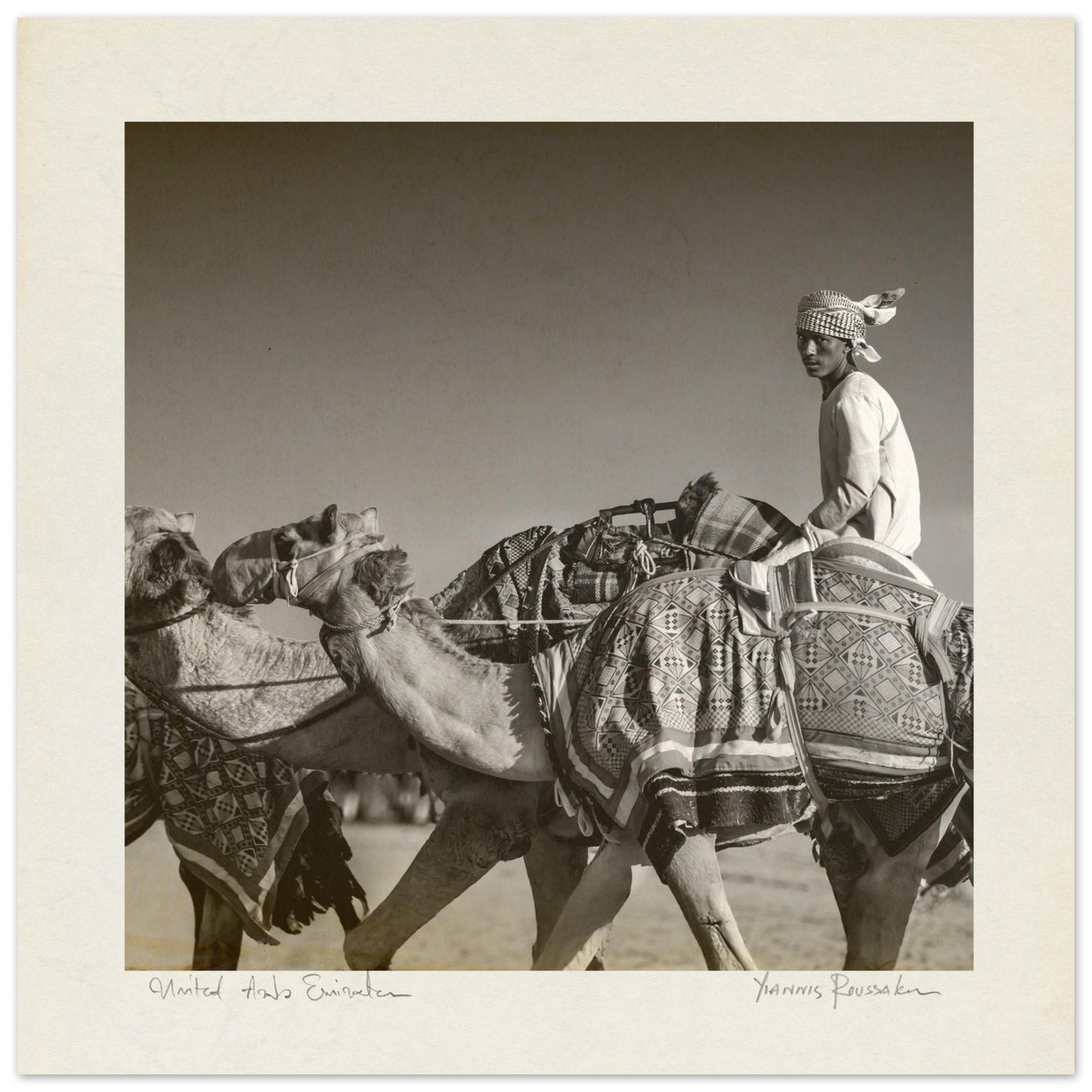 2d49b00e-ab7c-47bc-b404-868917a995c8