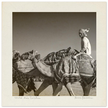 2d49b00e-ab7c-47bc-b404-868917a995c8