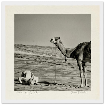 2d49d2b8-4466-4e8f-9392-b30a8f5614d2