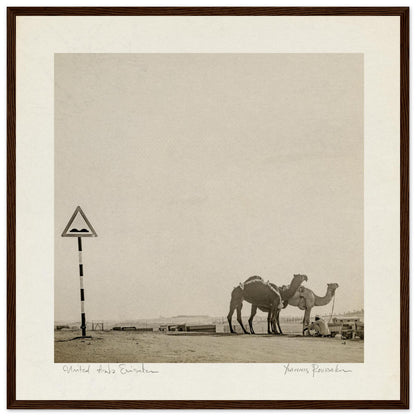 2d97f302-7879-4aa8-8199-3c5d5ec53b68