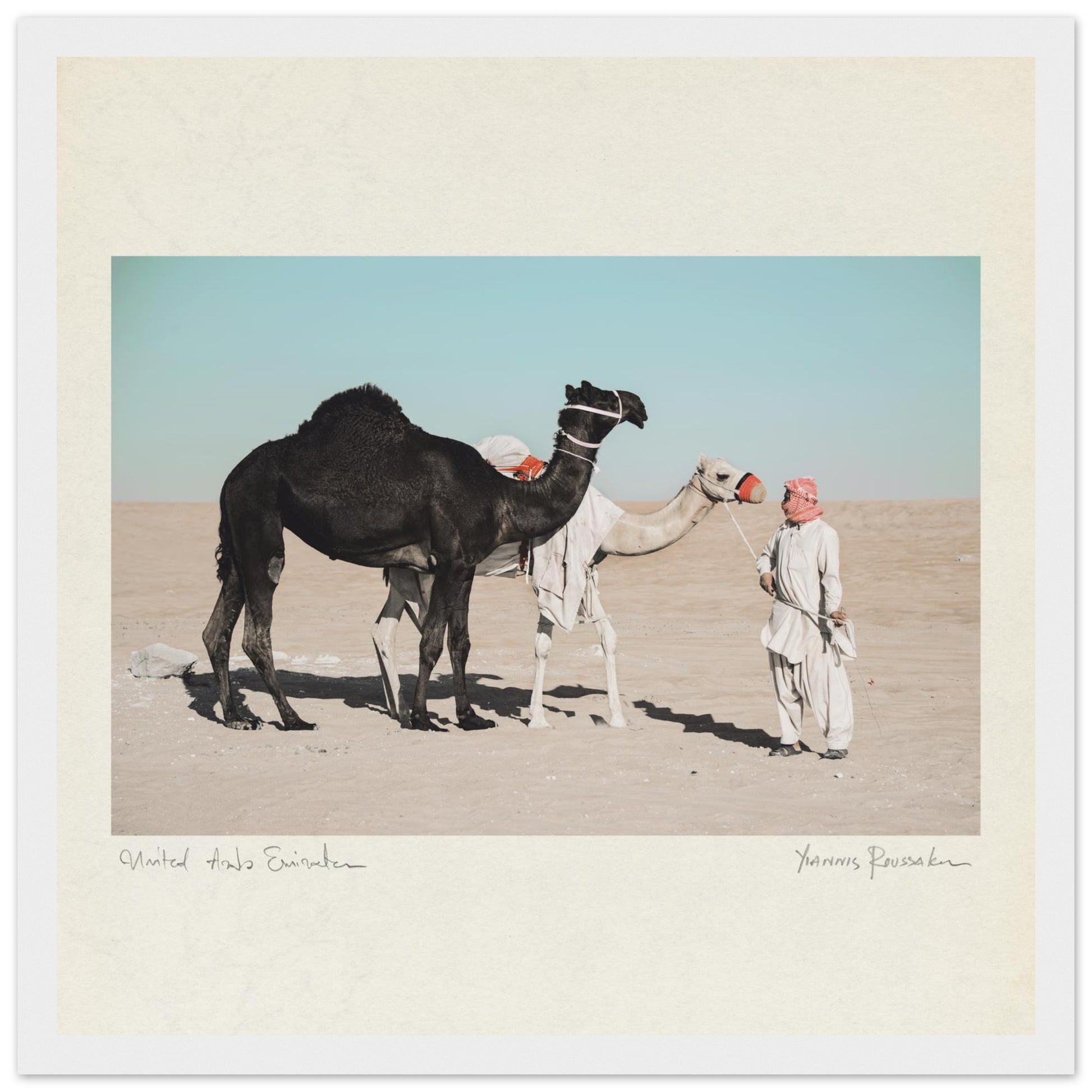 2dca33ee-c402-44c8-8bce-08c2a161534e