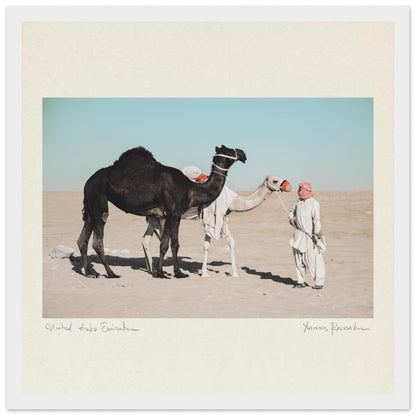 2dca33ee-c402-44c8-8bce-08c2a161534e