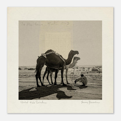 2e4fb322-3d06-4ece-84ce-a3b1d71ab59e