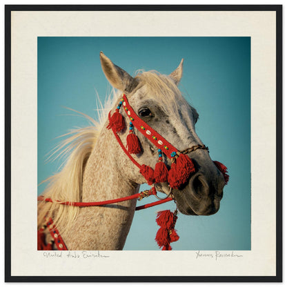 2f97a19a-72af-40e2-8b23-0704647b8629