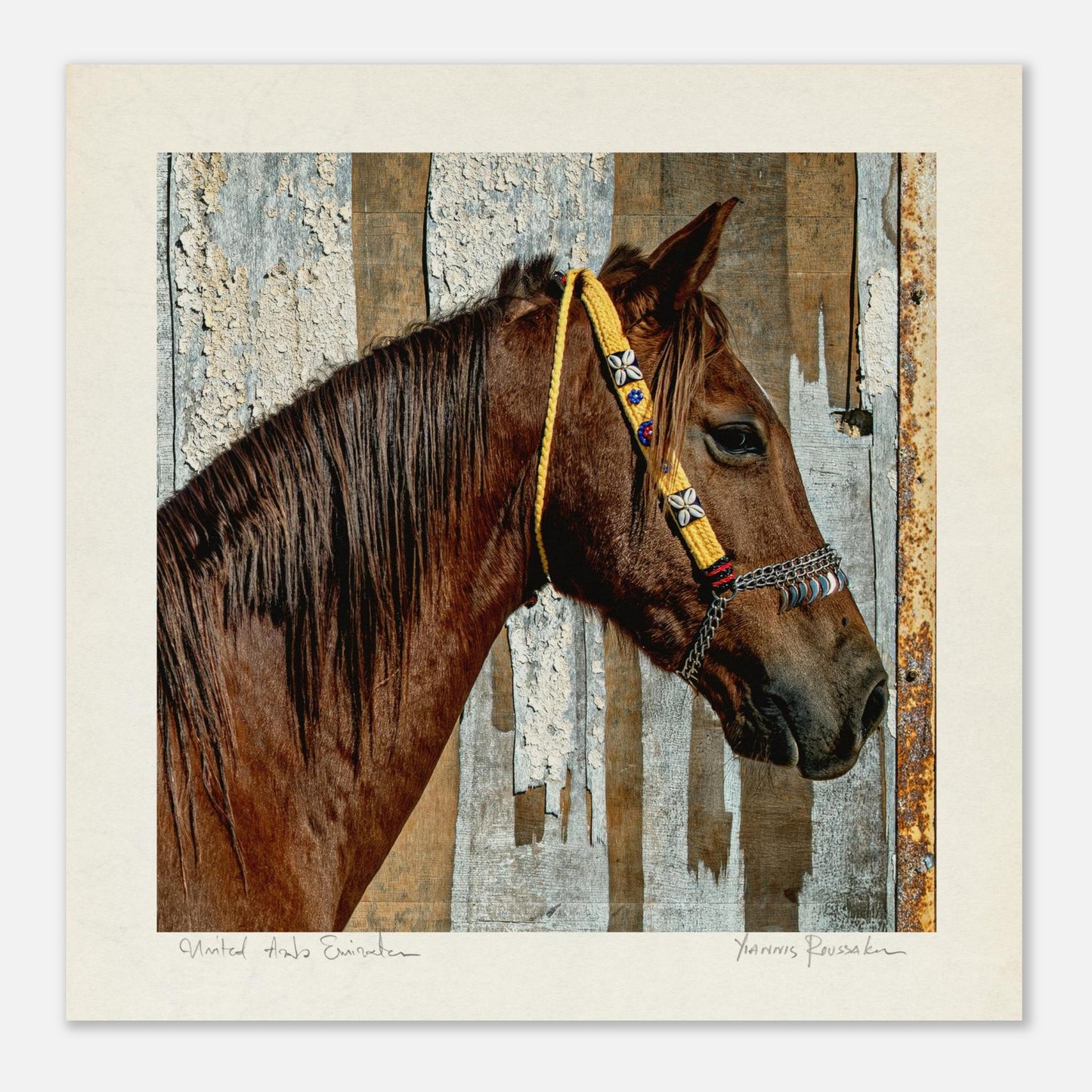 30be7ef9-42e9-4e4f-be26-33ca111e5b5c