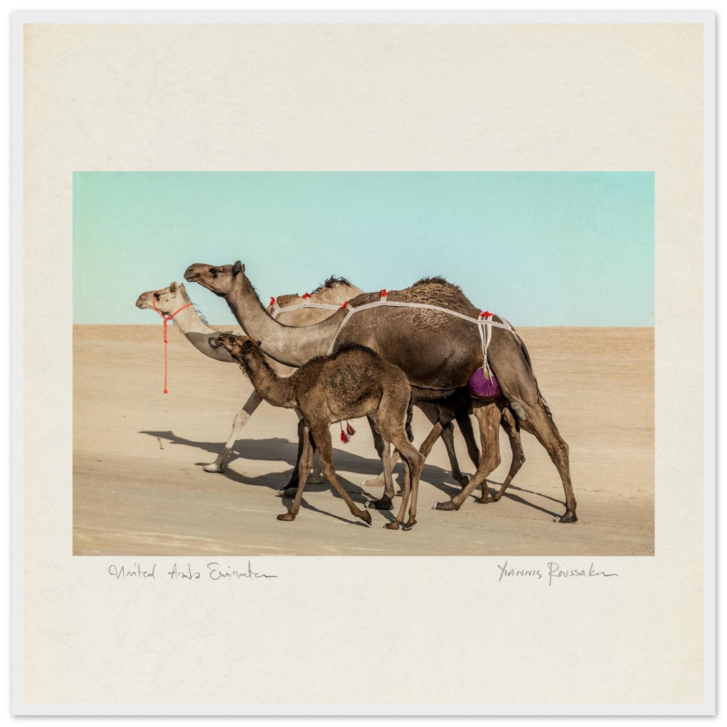 3180819b-0b24-430d-9050-ca54ecd8dc25