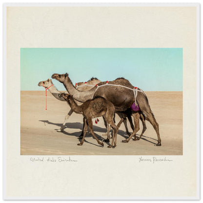 3180819b-0b24-430d-9050-ca54ecd8dc25