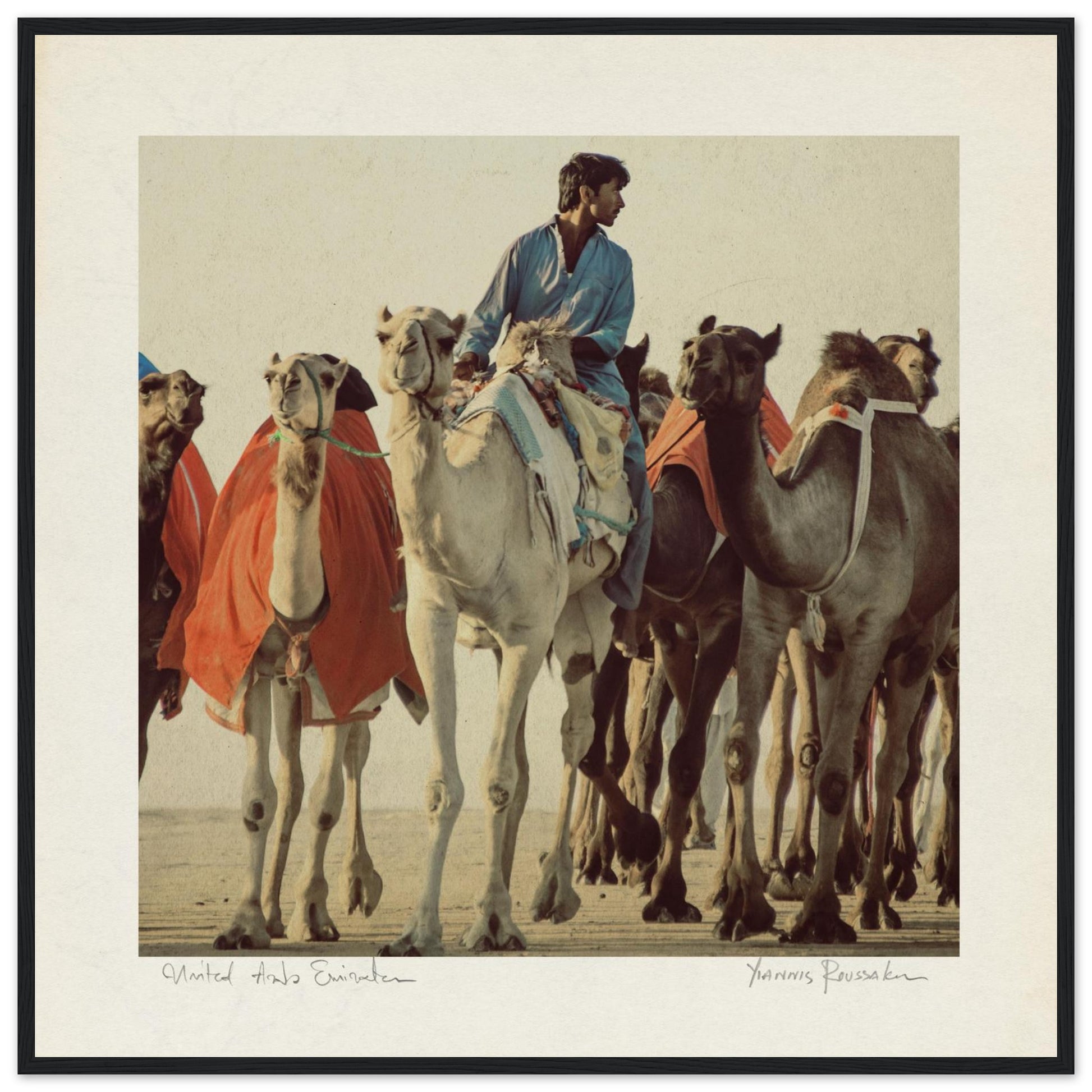 3242f2b0-75a8-4f67-adda-8e9f8f6ae723