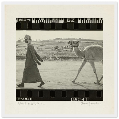 326b5215-681a-4e62-a142-1dc34090fb33