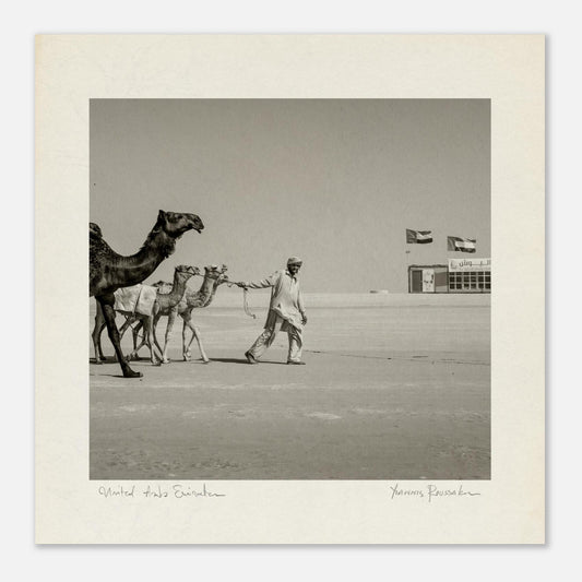 3320d7f3-ba6f-44b1-8dbf-111745d24a35